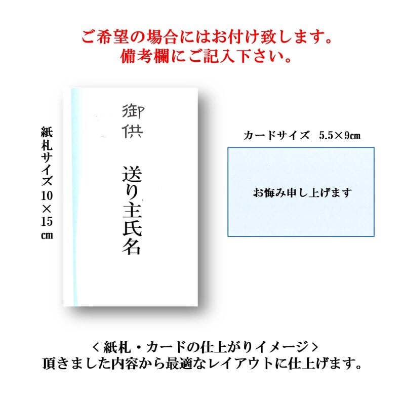 お供え 専用 胡蝶蘭 ミディ 「アマビリス」 ３本立 ラッピング付き お悔やみ お盆 初盆 新盆 喪中はがき ご仏前 霊前 初盆 新盆 枕花