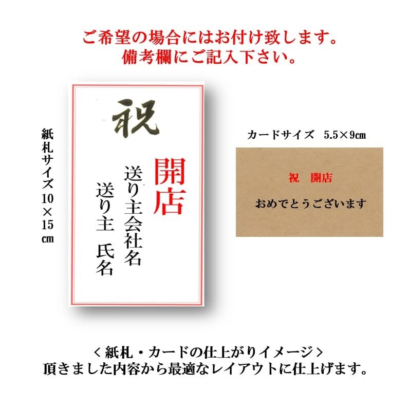 ミディ胡蝶蘭2本立ち　ストライプピンク　オリバー