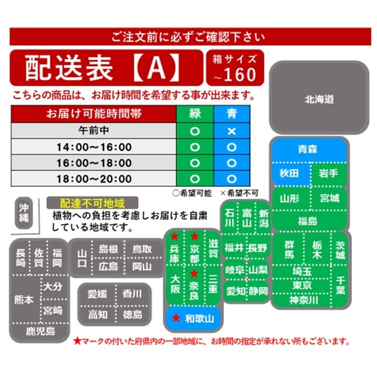 ミディ胡蝶蘭5本立ち　イエロー　フォーチュン・ザルツマン
