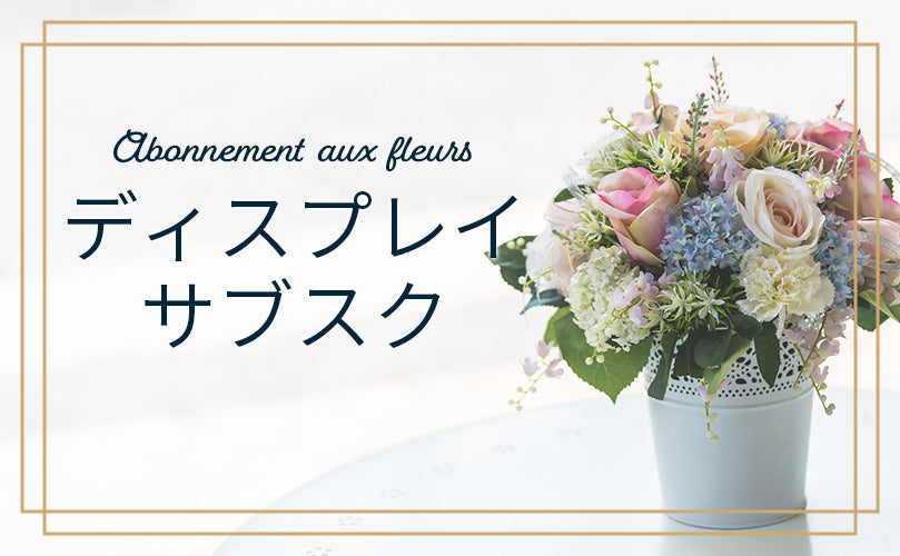 ディスプレイサブスク